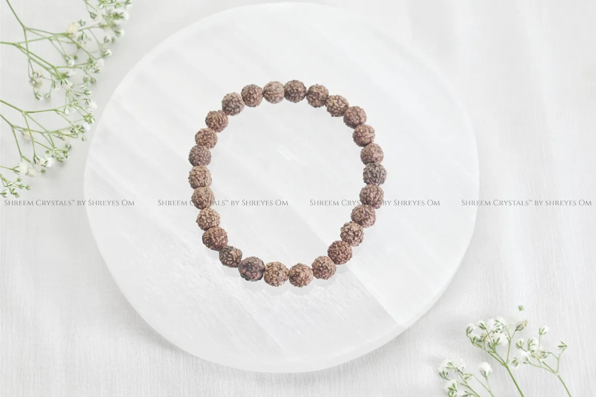 5 Mukhi Rudraksha