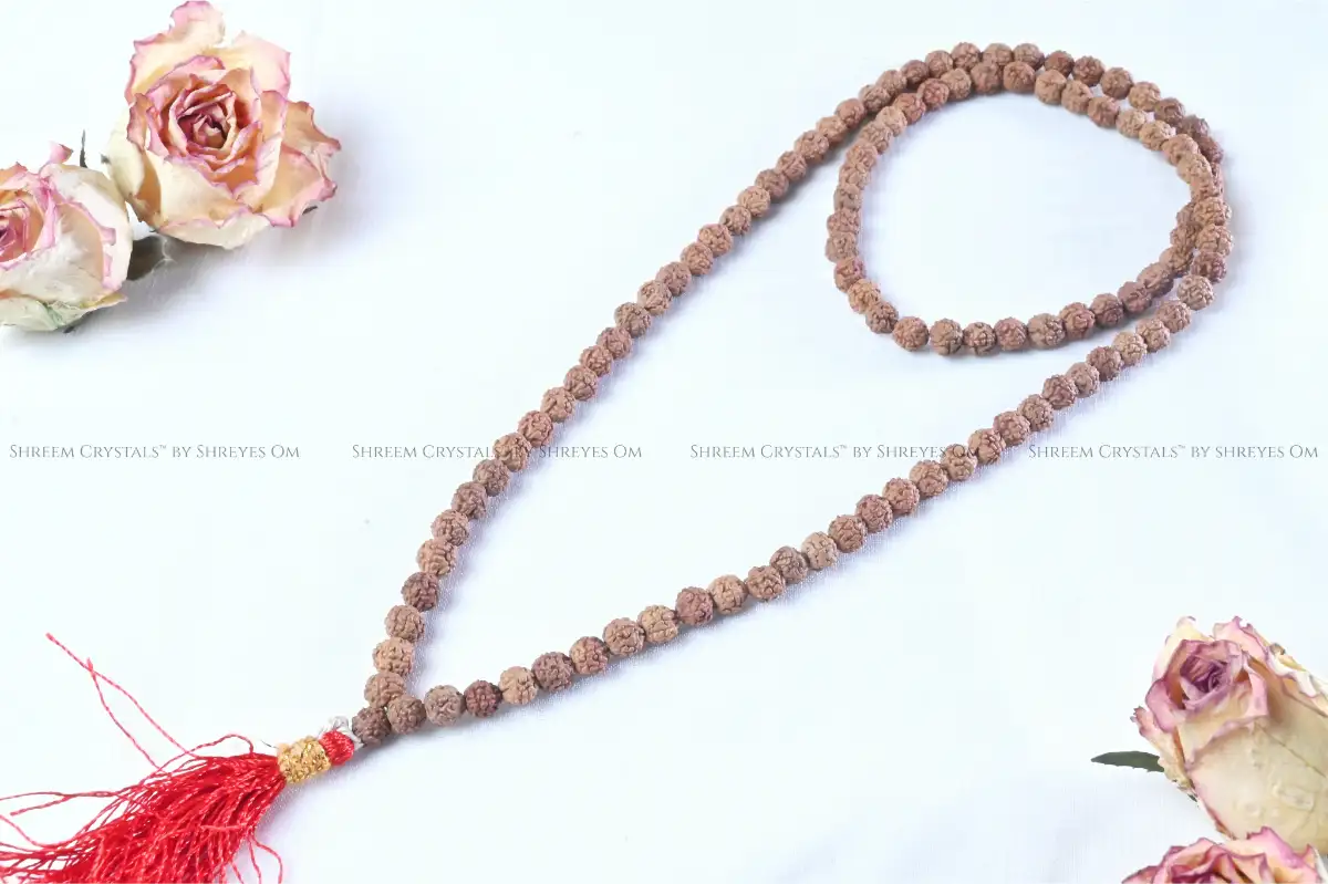 Rudraksha Mala (6mm) – Shreem Crystals