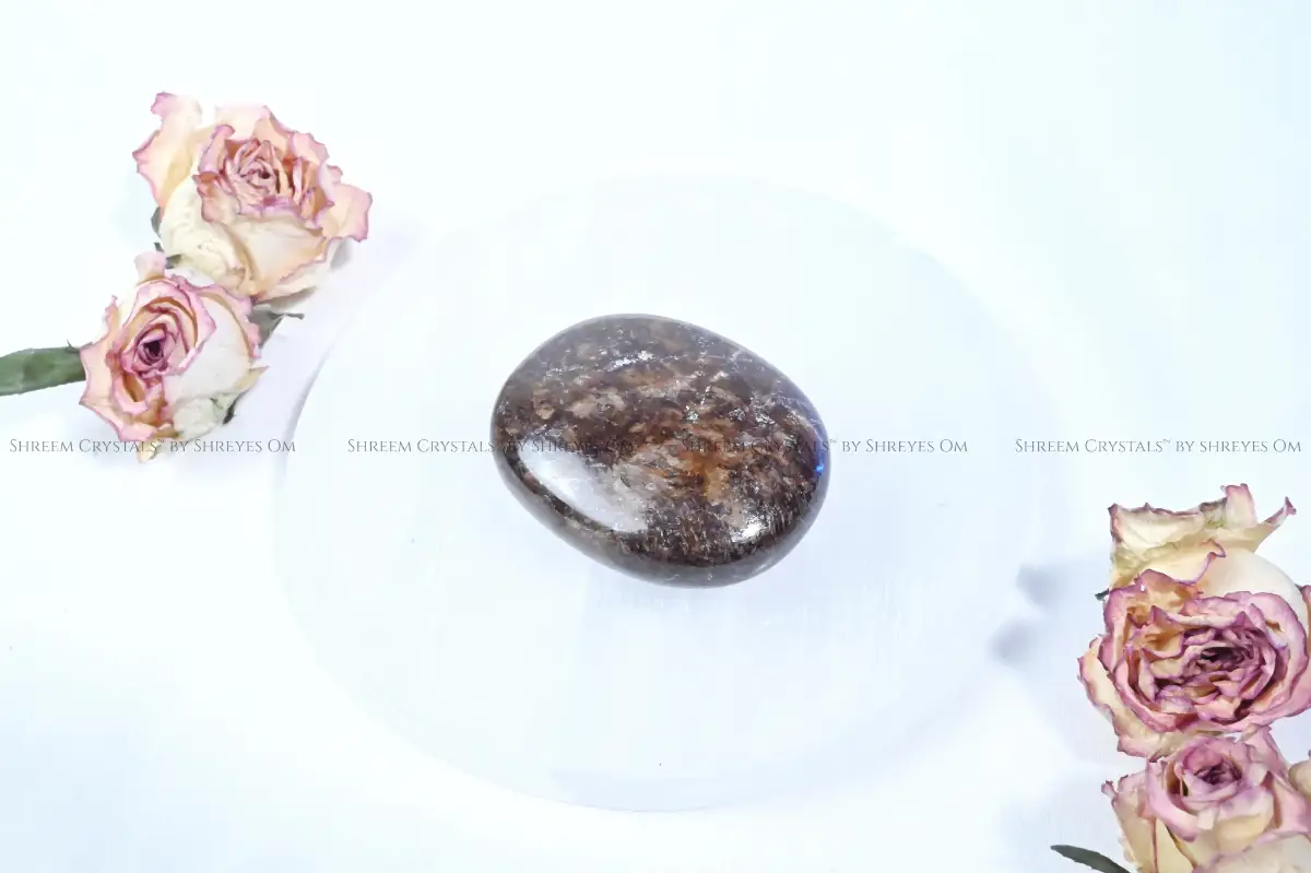 Bronzite Palm Stone – Shreem Crystals
