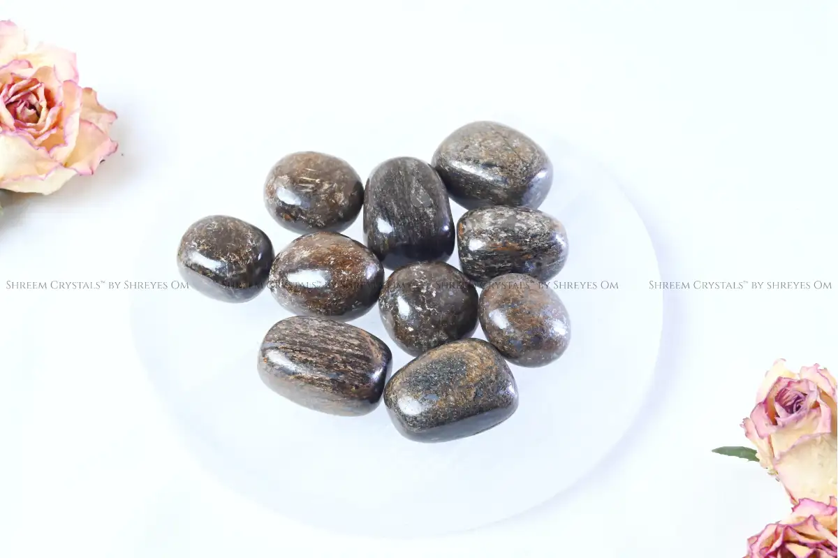 Bronzite Tumbles